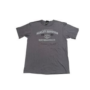 Harley Davidson men’s grey eagle graphic Conneaut lake, PA t shirt